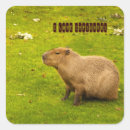 Pesquisar por capivara adesivos Animal