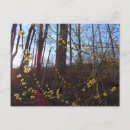 Pesquisar por plantas nativas cartoes postais Natureza
