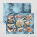 Pesquisar por seashells cartoes postais Coral