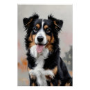 Pesquisar por border collie pôsteres pósteres Amante de cães
