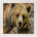 Pesquisar por urso marrom quebra cabecas Natureza