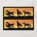 Pesquisar por mustang selvagem cartoes postais Equino