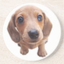 Pesquisar por dachshund vermelho porta copos Doxie