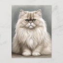 Pesquisar por persa cartoes postais Gato