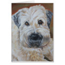 Pesquisar por wheaten Animais