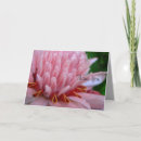 Pesquisar por ginger cartoes Rosa