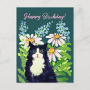 Pesquisar por gato feliz aniversario cartoes postais Para todos