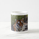 Pesquisar por tigre de bengal canecas Felino