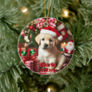 Pesquisar por labrador retriever ornamentos Animal