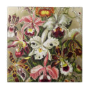 Pesquisar por geeks azulejos Geek de ciência