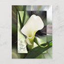 Pesquisar por espírito santo cartoes postais Jesus