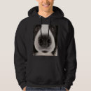 Pesquisar por de border collie roupas Sheepdog