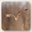 Pesquisar por orelha porta copos Animal