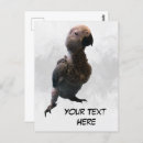 Pesquisar por animais africanos cartoes postais Para todos