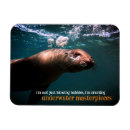 Pesquisar por foto do leão imas Vida selvagem