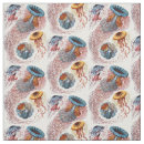 Pesquisar por haeckel de ernst Oceano