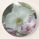 Pesquisar por orquídeas porta copos Qualquer pessoa