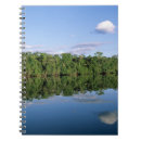Pesquisar por florestado Reflexo