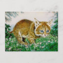 Pesquisar por lince cartoes postais Gatos
