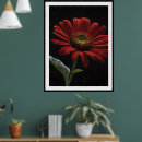 Pesquisar por margarida vermelha pósteres Vermelho