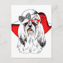 Pesquisar por yorkies cartoes postais Fofofo