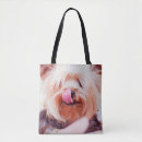 Pesquisar por cães bolsas Qualquer pessoa