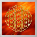 Pesquisar por flower of life pôsteres pósteres Eddart