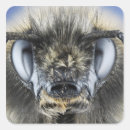 Pesquisar por antena adesivos Olhos compostos