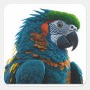 Pesquisar por macaw adesivos Colorido