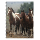 Pesquisar por cavalo do mustang cadernos de notas Foto