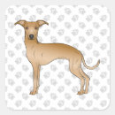 Pesquisar por pata de cachorro adesivos Qualquer pessoa