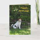 Pesquisar por jack russell terrier dog cartoes postais Dogs