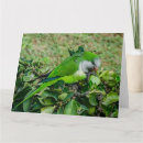 Pesquisar por monge cartoes Natureza