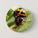Pesquisar por a vida do inseto acessorios Laranja e preto