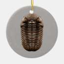 Pesquisar por paleontologia ornamentos Ciência