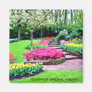 Pesquisar por holland imas Terra firme