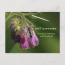 Pesquisar por formiga cartoes Inseto