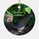 Pesquisar por esquilo ornamentos Natal