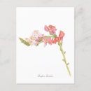 Pesquisar por ilustração botânica cartoes postais Qualquer pessoa