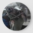 Pesquisar por cabeça relogios de parede Qualquer pessoa