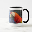 Pesquisar por macaw do ouro Natureza