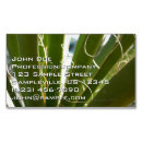 Pesquisar por natureza verde cartao de visita Qualquer pessoa