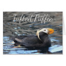 Pesquisar por puffin cartoes Oceano