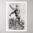 Pesquisar por musculatura pôsteres pósteres Anatomia