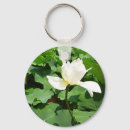 Pesquisar por flor lotus chaveiros Lagoa
