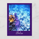 Pesquisar por belize cartoes postais Oceano
