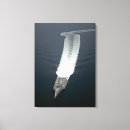 Pesquisar por construtor impressão de canvas Marinho