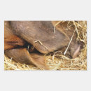 Pesquisar por suíno adesivos Qualquer pessoa