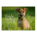 Pesquisar por terrier de russell do jaque cartoes postais Retrato