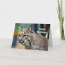 Pesquisar por lince cartoes Bobina